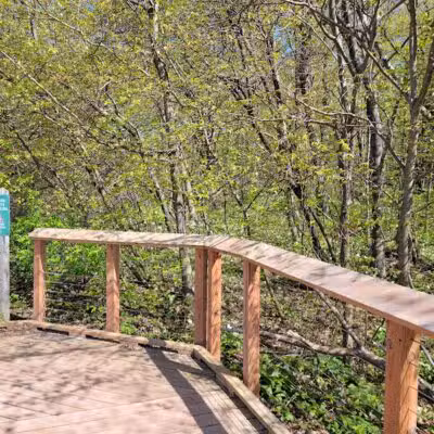 Arcadia Dunes: The C.S. Mott Nature Preserve - Arcadia,