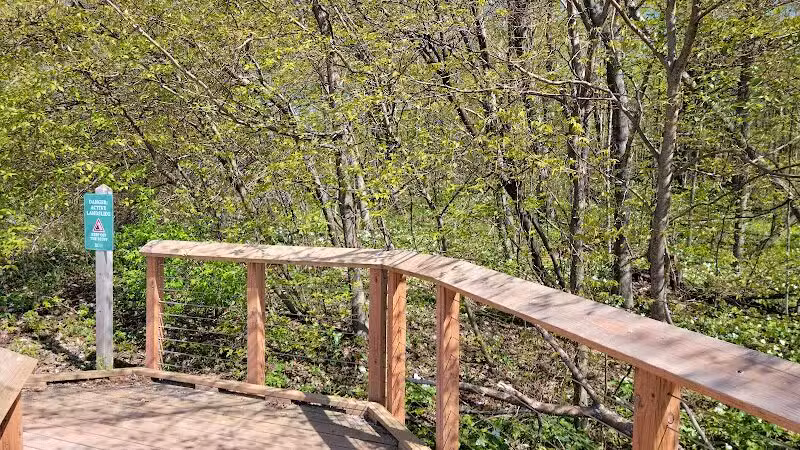 Arcadia Dunes: The C.S. Mott Nature Preserve - Arcadia,