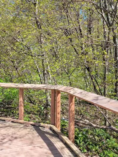 Arcadia Dunes: The C.S. Mott Nature Preserve - Arcadia,