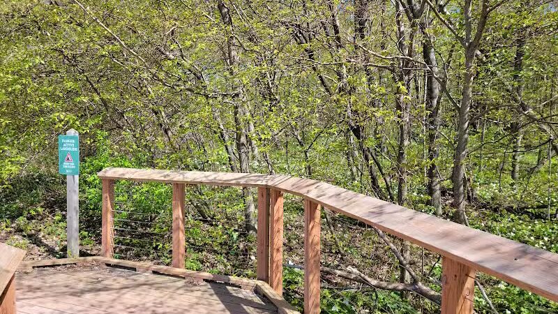 Arcadia Dunes: The C.S. Mott Nature Preserve - Arcadia,