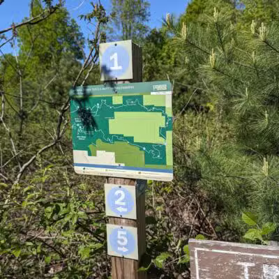 Arcadia Dunes: The C.S. Mott Nature Preserve - Arcadia,