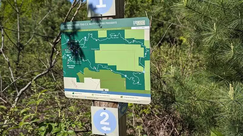 Arcadia Dunes: The C.S. Mott Nature Preserve - Arcadia,