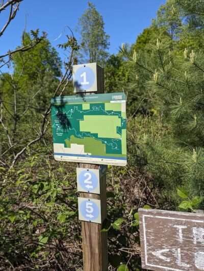 Arcadia Dunes: The C.S. Mott Nature Preserve - Arcadia,