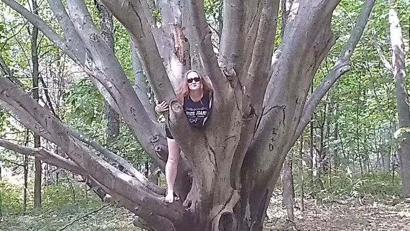 Arcadia Dunes: The C.S. Mott Nature Preserve - Arcadia,