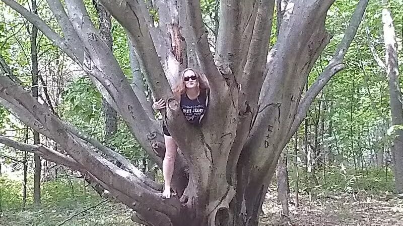 Arcadia Dunes: The C.S. Mott Nature Preserve - Arcadia,