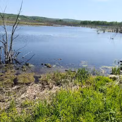 Arcadia Marsh Nature Preserve - Arcadia,