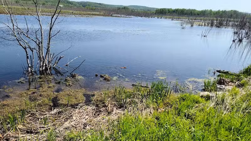 Arcadia Marsh Nature Preserve - Arcadia,