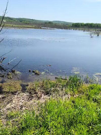 Arcadia Marsh Nature Preserve - Arcadia,