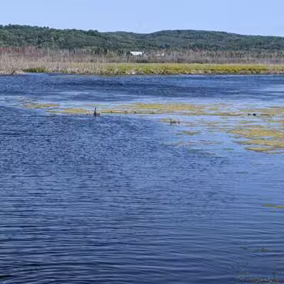 Arcadia Marsh Nature Preserve - Arcadia,