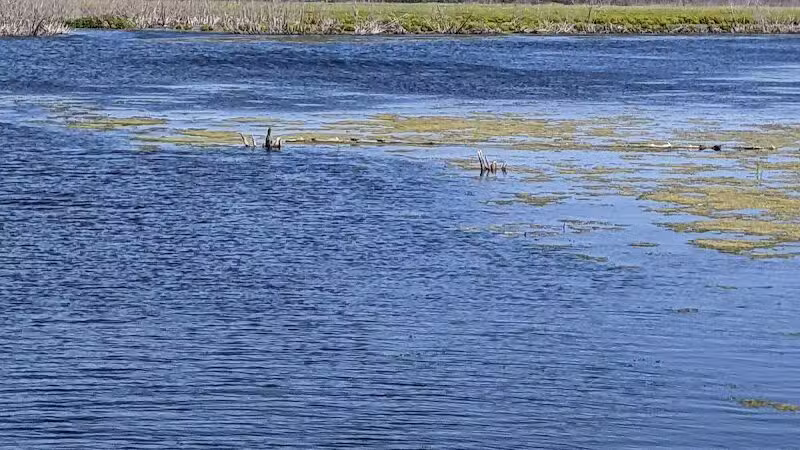 Arcadia Marsh Nature Preserve - Arcadia,