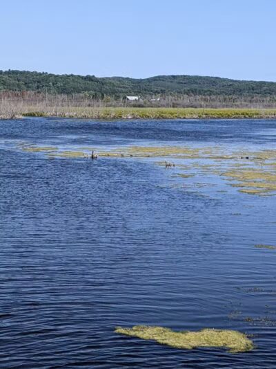 Arcadia Marsh Nature Preserve - Arcadia,