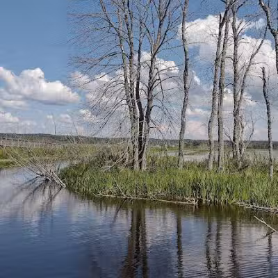 Arcadia Marsh Nature Preserve - Arcadia,