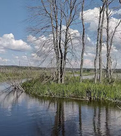 Arcadia Marsh Nature Preserve - Arcadia,