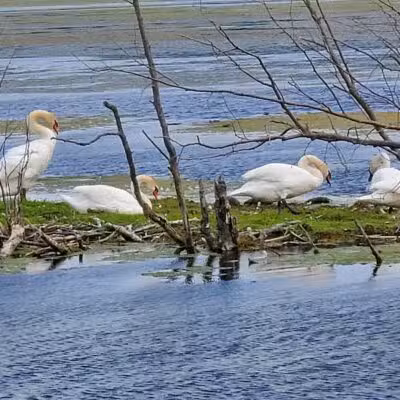 Arcadia Marsh Nature Preserve - Arcadia,