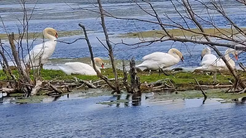 Arcadia Marsh Nature Preserve - Arcadia,