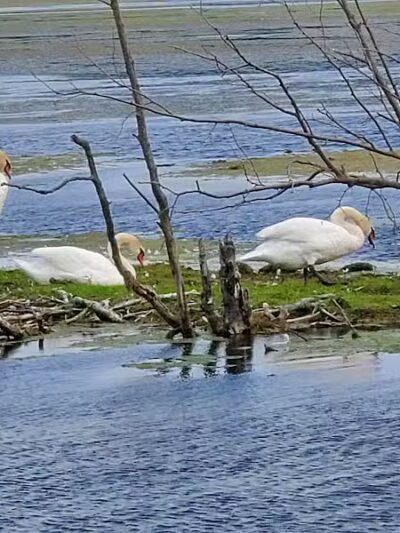 Arcadia Marsh Nature Preserve - Arcadia,