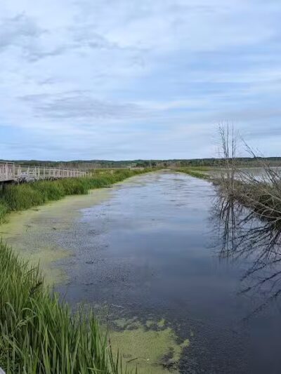 Arcadia Marsh Nature Preserve - Arcadia,