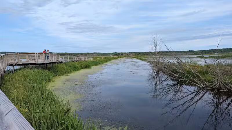 Arcadia Marsh Nature Preserve - Arcadia,