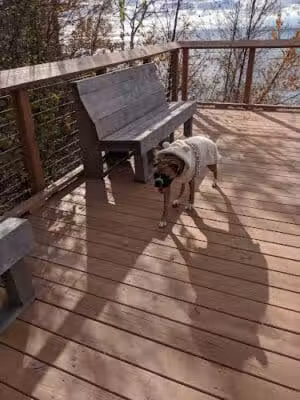 Arcadia Dunes: The C.S. Mott Nature Preserve - Arcadia,