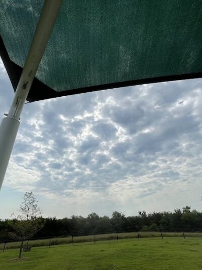 Ardmore Dog Park - Ardmore, OK