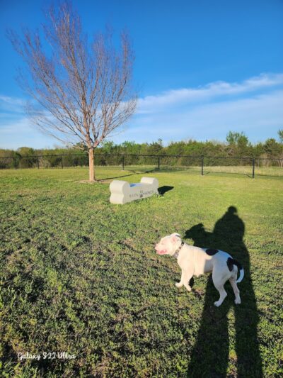 Ardmore Dog Park - Ardmore, OK