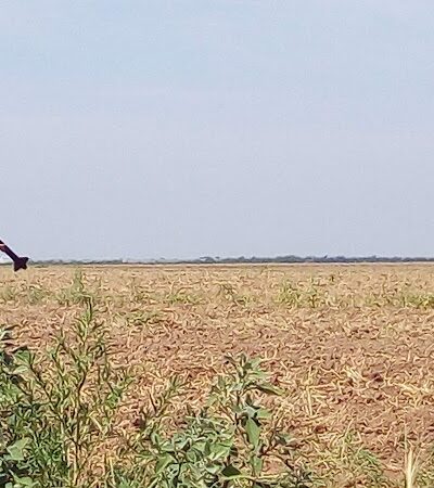 The Rocket Pasture - Argonia, KS