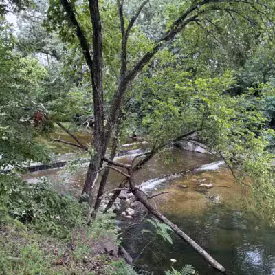 Shirlington Park - Arlington, VA