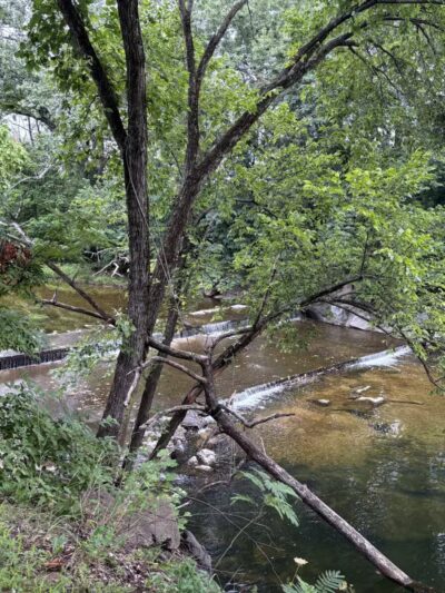 Shirlington Park - Arlington, VA