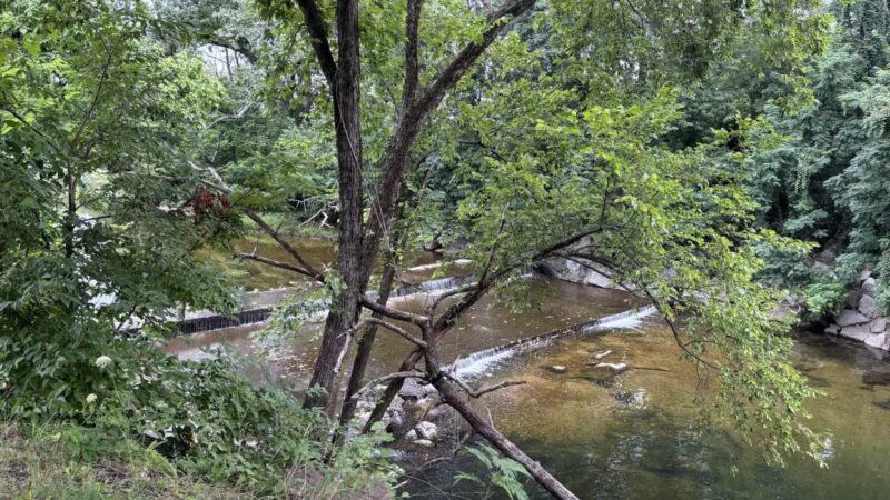 Shirlington Park - Arlington, VA