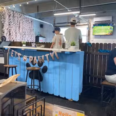 Snouts & Stouts - Indoor Dog Park & Bar - Arlington, VA