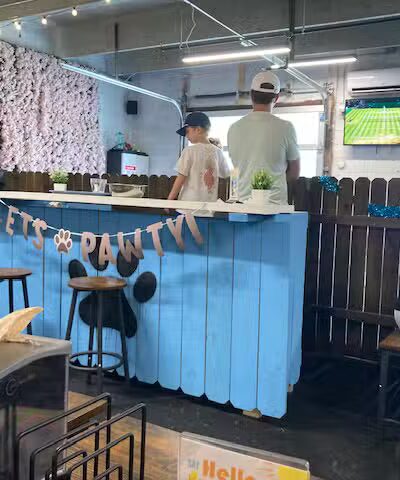 Snouts & Stouts - Indoor Dog Park & Bar - Arlington, VA