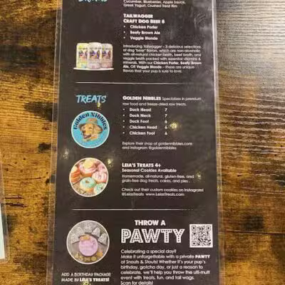 Snouts & Stouts - Indoor Dog Park & Bar - Arlington, VA