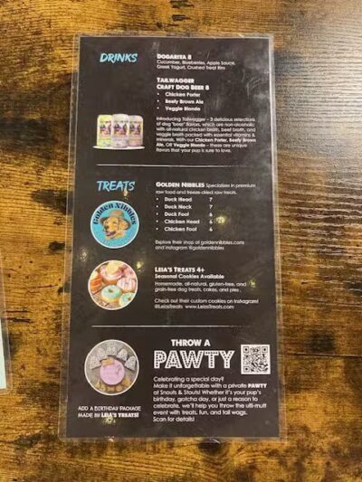 Snouts & Stouts - Indoor Dog Park & Bar - Arlington, VA