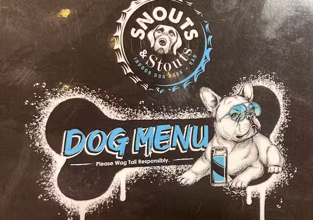 Snouts & Stouts - Indoor Dog Park & Bar - Arlington, VA