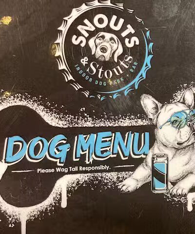 Snouts & Stouts - Indoor Dog Park & Bar - Arlington, VA