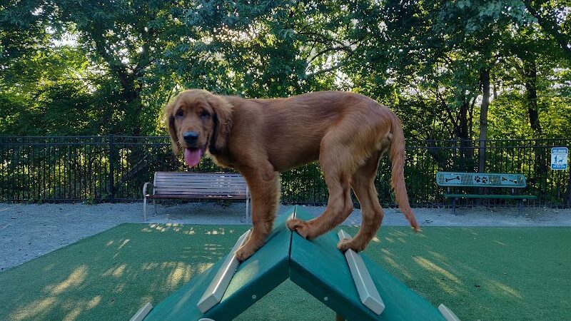 Avalon at Arlington Square Dog Park - Arlington, VA
