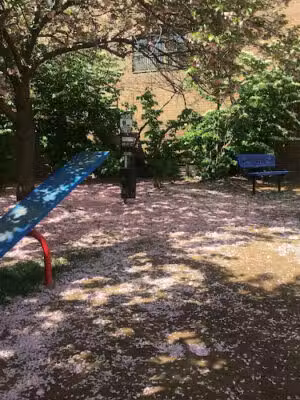 Bark Park - Arlington, VA