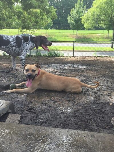 Fort Barnard Park - Arlington, VA