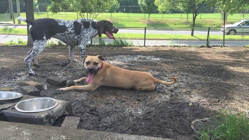 Fort Barnard Park - Arlington, VA