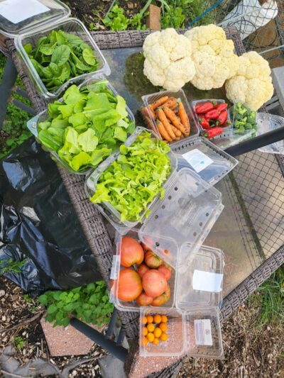 Fort Barnard Park - Arlington, VA