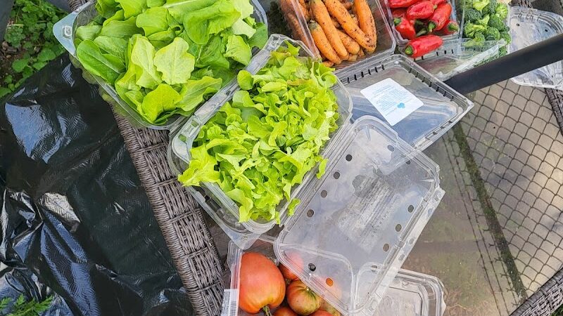 Fort Barnard Park - Arlington, VA