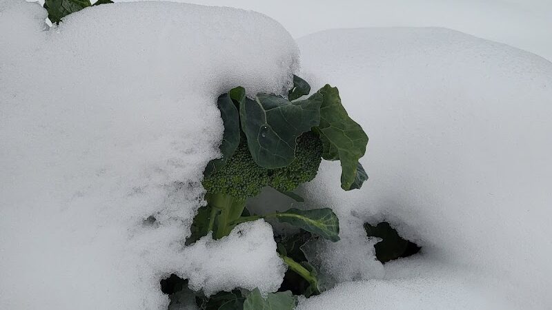 Fort Barnard Park - Arlington, VA