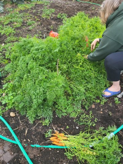 Fort Barnard Park - Arlington, VA