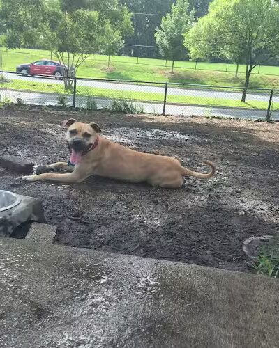 Fort Barnard Park - Arlington, VA