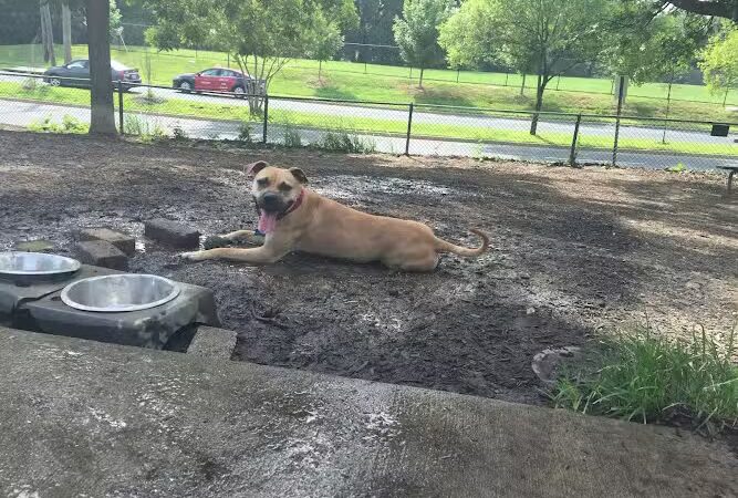 Fort Barnard Park - Arlington, VA