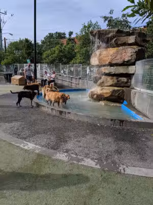 James Hunter Dog Park - Arlington, VA