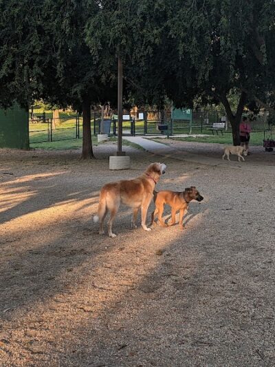 Towers Park - Arlington, VA