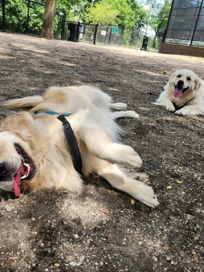 Towers Park - Arlington, VA