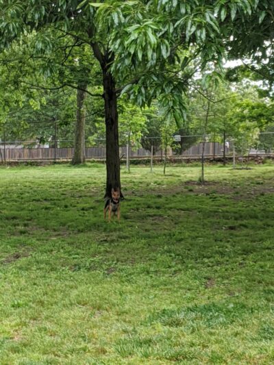 Towers Park - Arlington, VA