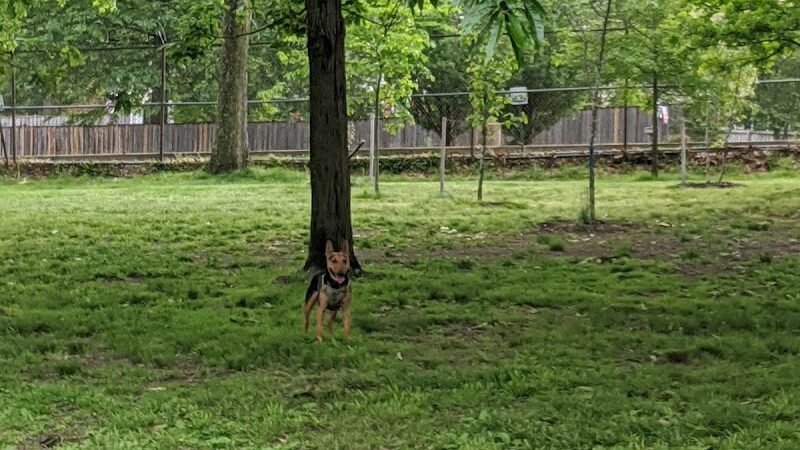 Towers Park - Arlington, VA